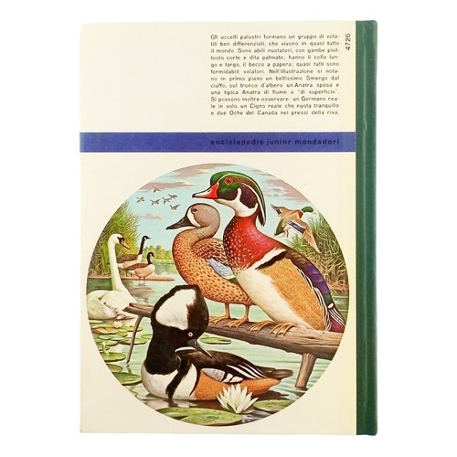 Enciclopedia delle scienze - enciclopedia,
