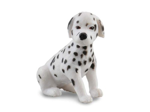 Cucciolo dalamatin cm cani - 3,5,