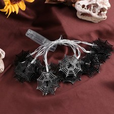  Catena Luminosa Spider Web