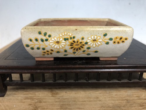 Raro vaso per bonsai - , dipinto