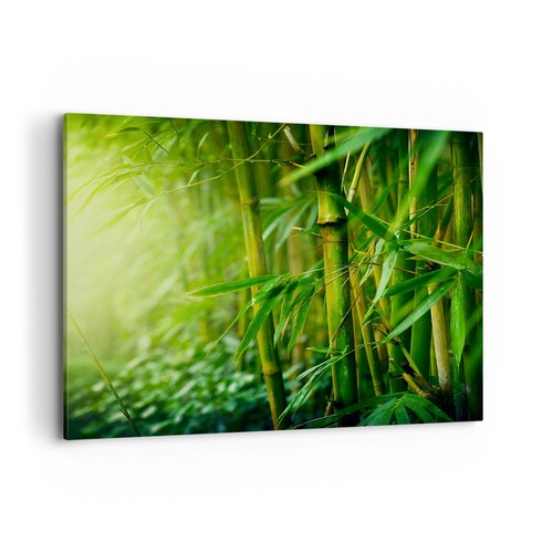 Quadro tela 120x80cm bambù - tela,