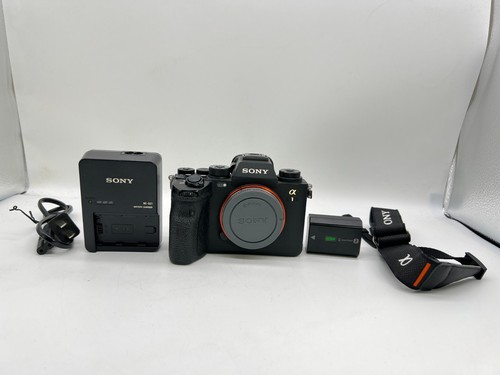 Fotocamera digitale mirrorless