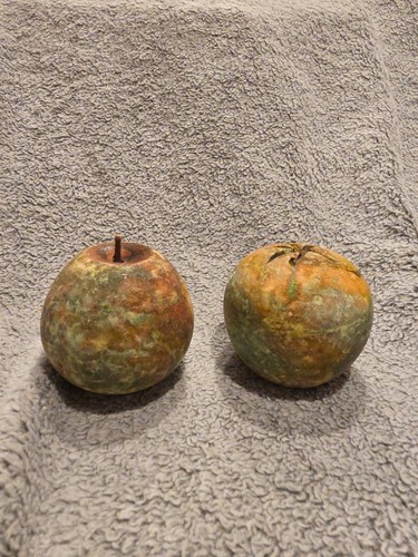 Coppia marmo granito frutta - marmo,