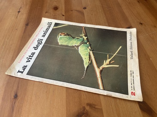 Rivista natura viva - rivista, vita