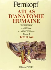 Atlas anatomie humaine - atlas,