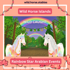 🌈 Isole Cavalli Selvaggi -