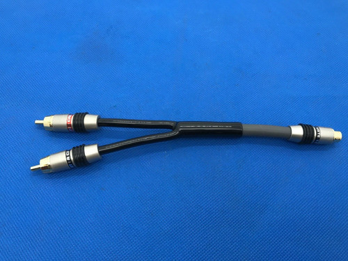 Monster rca femmina - rca, 2