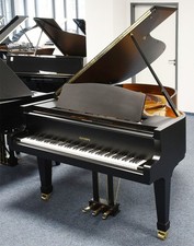 Euterpe a Coda Usato, Nuova Superficie Nero, Anno 1985