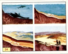 Figurine Animali Preistorici