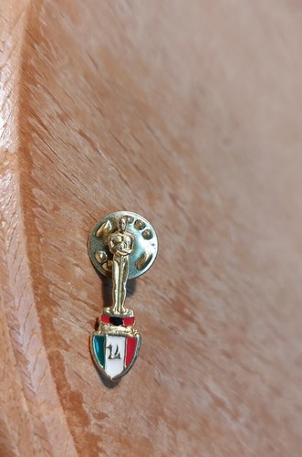 Spilla milan scudetto anni - spilla,