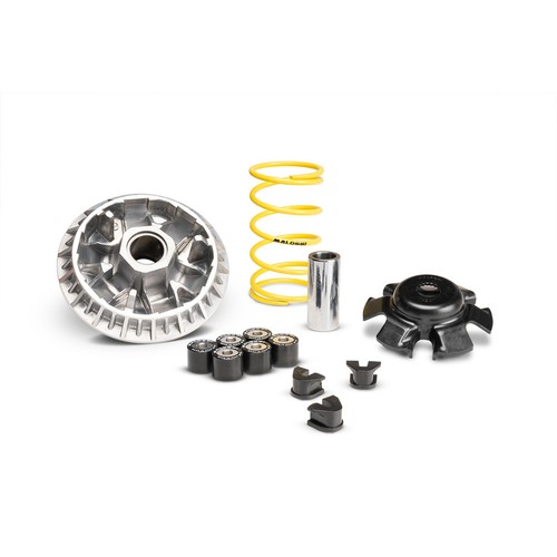 Variatore malossi multivar - variatore,