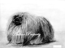 PECHINO o CANE LEONE o PEKE disegno a matita grafite originale 9,5" x 13"