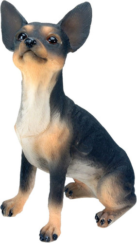 Pacific trading chihuahua - pacific,