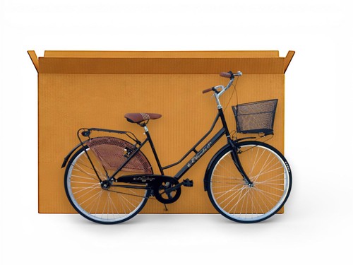 Cartone per bicicletta - cartone,
