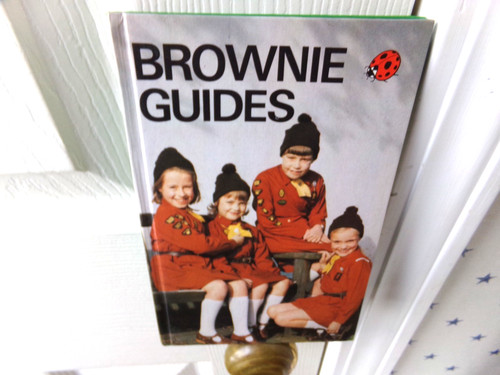 Ladybird brownie guides girl - ladybird,