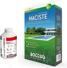 Bottos MACISTE, Sementi per