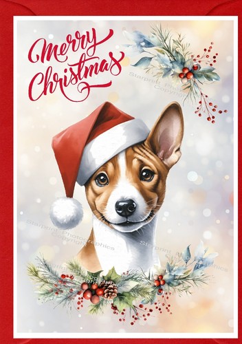Biglietto natale basenji - natale,