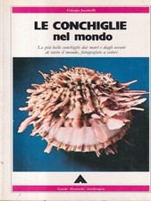 LE CONCHIGLIE NEL MONDO