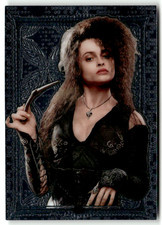 Panini Harry Potter
