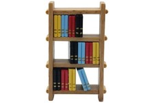 Dolls House Libreria con Libri