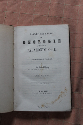 Guida allo studio della