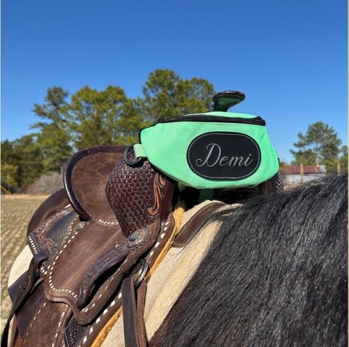 Personalized horse saddle bag - personalized,