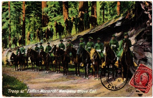 Cpa usa troop - -,