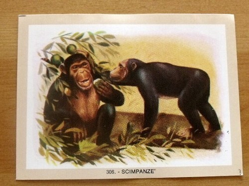 Figurina naturama 306 - figurina, n�306