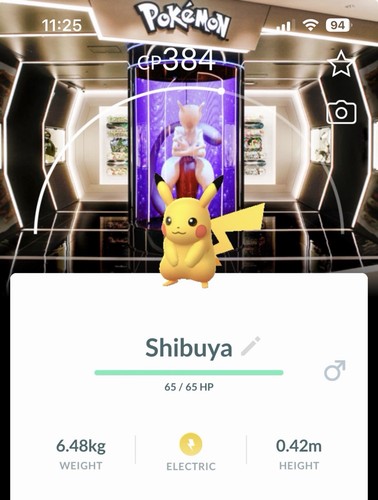 Pikachu pokemon timbro - pikachu,