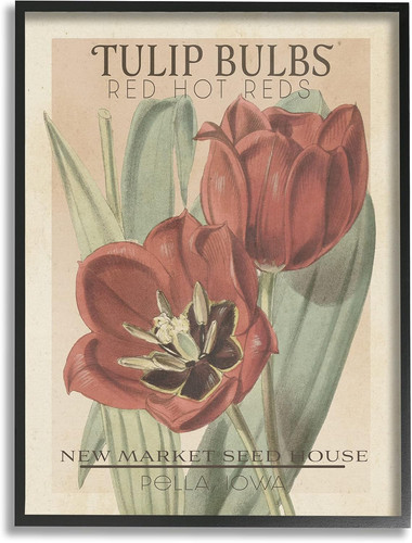 Bulbi tulipano rosso - di,