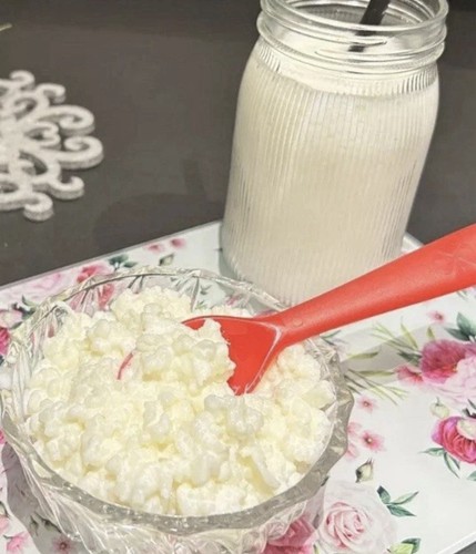 Kefir granuli fermenti - 20, gr