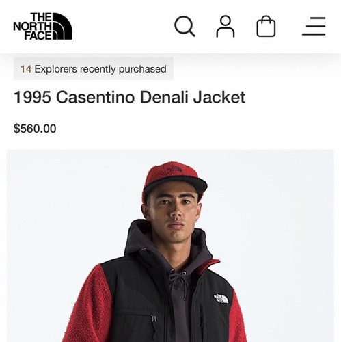 Giacca the north face - the,