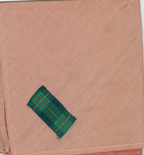 Eccellente fazzoletto collo - fazzoletto,