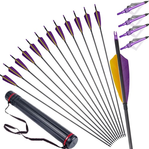 Frecce carbonio 003 - frecce, 31"