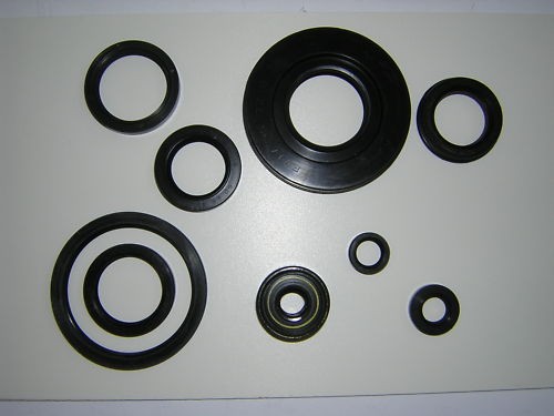 Kit guarnizioni olio completo