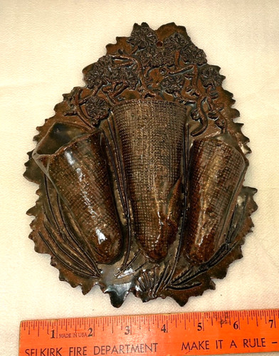 Tasca parete terracotta - parete,