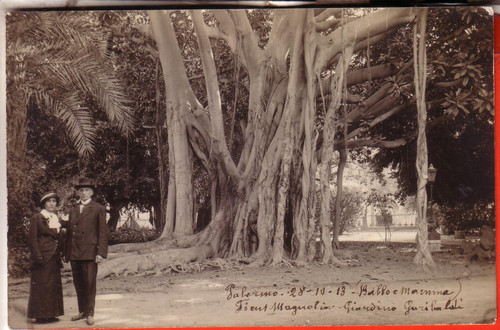Cartolina palermo scritta - palermo,