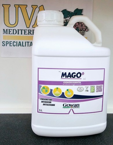 Mago coadiuvante - mago’,