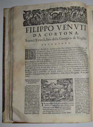 Virgilio fig 1597 - -, fig.