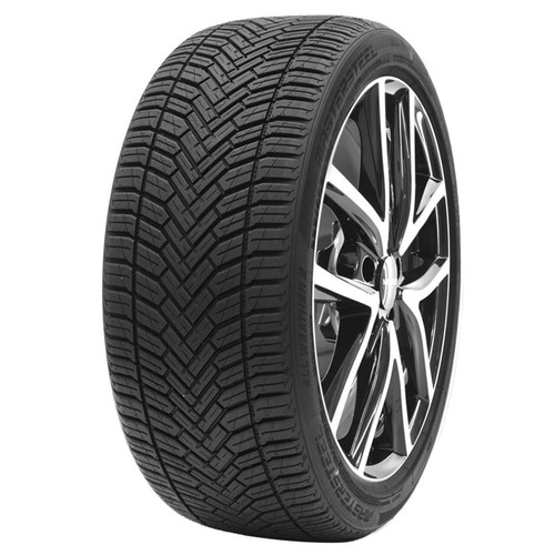 Gomma stagioni mastersteel - 4,