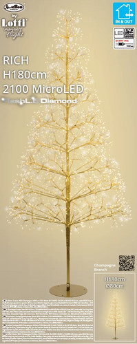 Albero conico ricco - , rich