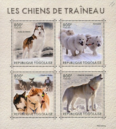 Sled dogs siberian husky - sled,