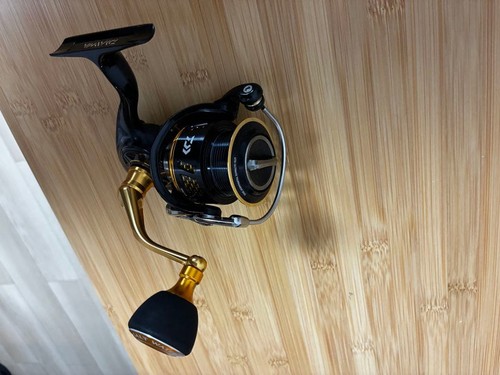 Daiwa morethan 2510 - daiwa,