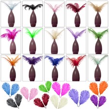 Piume Struzzo Fly 35-60cm