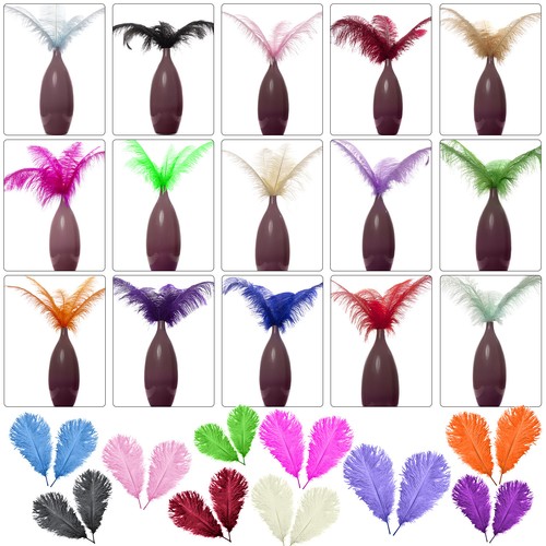 Piume struzzo fly 60cm - struzzo, 35-60cm