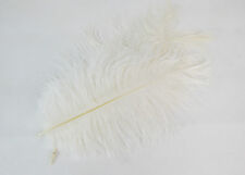 Pz 14 Piume Marabu Naturale