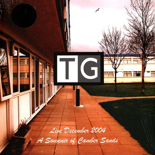 Throbbing gristle a souvenir - throbbing,