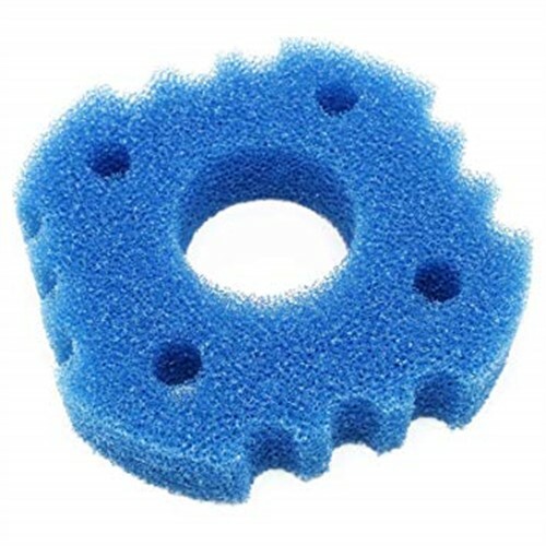 Spugna biologica blue - spugna, biologica blue