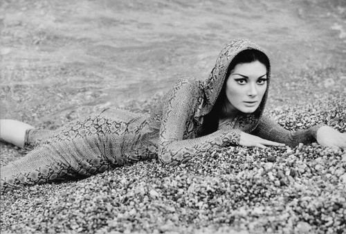 Actress edwige fenech pin - up,