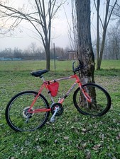 Mountain bike Olympia Leopard 